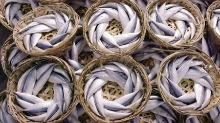 Sezon 1 Odcinek 15 Rybny posiłek