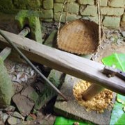 Pyszne tradycje - galeria zdjęć - filmweb