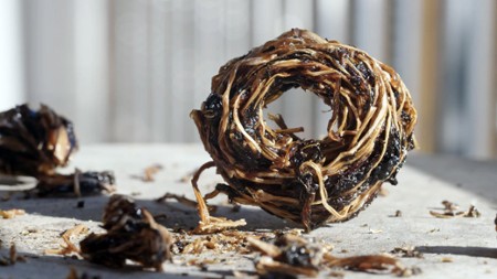 Sezon 2 Odcinek 6 Kiszonki