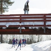 Psychobitch - galeria zdjęć - filmweb