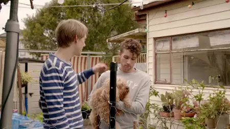 Please Like Me - galeria zdjęć - filmweb