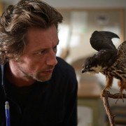 Vares: Ścieżka prawości - galeria zdjęć - filmweb