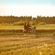 Vares: Ścieżka prawości - galeria zdjęć - filmweb