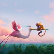Vivo - galeria zdjęć - filmweb