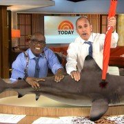 Sharknado 2: The Second One - galeria zdjęć - filmweb