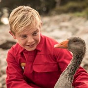 Gooseboy - galeria zdjęć - filmweb