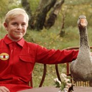 Gooseboy - galeria zdjęć - filmweb