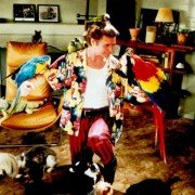 Ace Ventura: Pet Detective - galeria zdjęć - filmweb
