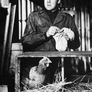 Battleground - galeria zdjęć - filmweb
