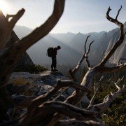 Free Solo: ekstremalna wspinaczka - galeria zdjęć - filmweb