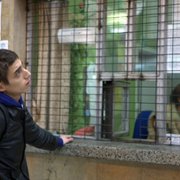 Ave - galeria zdjęć - filmweb