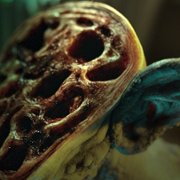 Seuwiteuhom - galeria zdjęć - filmweb