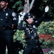 Akademia Policyjna 4: Patrol obywatelski - galeria zdjęć - filmweb