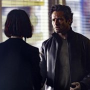 Superman i Lois - galeria zdjęć - filmweb