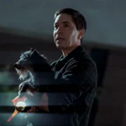 Coyotes - galeria zdjęć - filmweb
