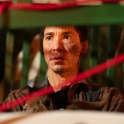 Coyotes - galeria zdjęć - filmweb