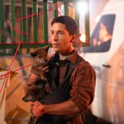 Coyotes - galeria zdjęć - filmweb