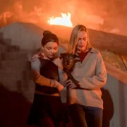 Coyotes - galeria zdjęć - filmweb