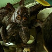 Spaceman - galeria zdjęć - filmweb