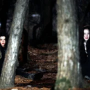 Bez odwrotu - galeria zdjęć - filmweb