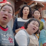 Dong-baek-ggoch Pil Mu-ryeob - galeria zdjęć - filmweb