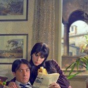 Alfredo, Alfredo - galeria zdjęć - filmweb
