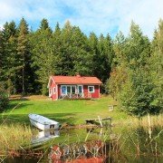 Fanatyk - galeria zdjęć - filmweb