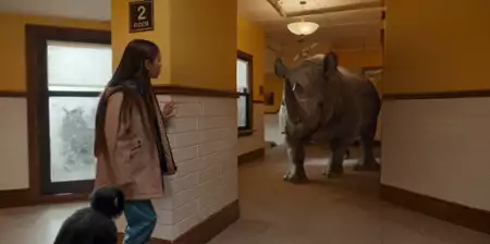 Jane - galeria zdjęć - filmweb