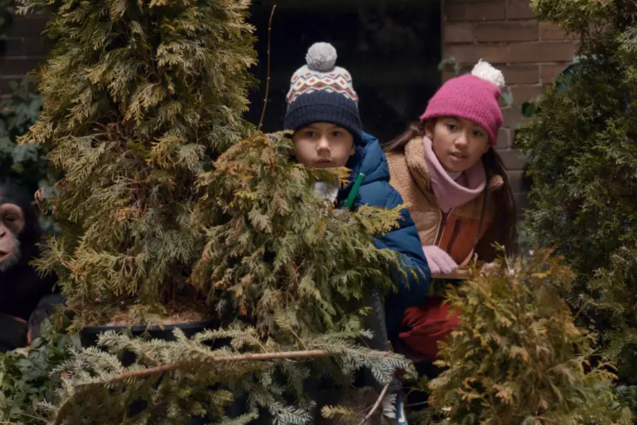 Jane - galeria zdjęć - filmweb
