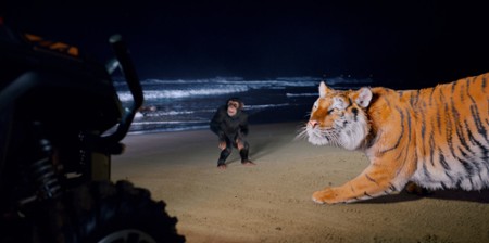 Sezon 1 Odcinek 10 Panthera tigris
