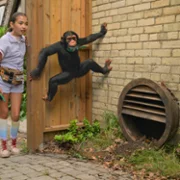 Jane - galeria zdjęć - filmweb