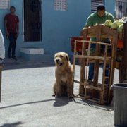 Arthur the King - galeria zdjęć - filmweb