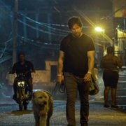 Arthur the King - galeria zdjęć - filmweb