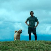 Arthur the King - galeria zdjęć - filmweb