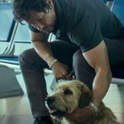 Arthur the King - galeria zdjęć - filmweb