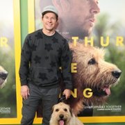 Arthur the King - galeria zdjęć - filmweb