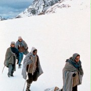 Alive, dramat w Andach - galeria zdjęć - filmweb