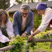 Eugene Levy: Nieochoczy podróżnik - galeria zdjęć - filmweb
