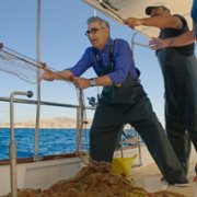 The Reluctant Traveler with Eugene Levy - galeria zdjęć - filmweb