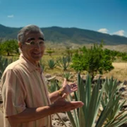 The Reluctant Traveler with Eugene Levy - galeria zdjęć - filmweb