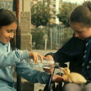 Najlepsze przyjaciółki - galeria zdjęć - filmweb