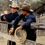 Rącze konie - galeria zdjęć - filmweb