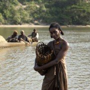 Korzenie - galeria zdjęć - filmweb