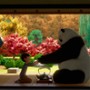 Panda Tafla - galeria zdjęć