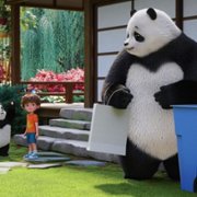 Panda Tafla - galeria zdjęć - filmweb