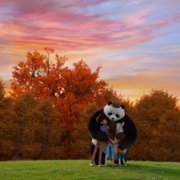 Panda Tafla - galeria zdjęć - filmweb