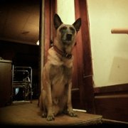 Dziewczyna z trzeciego piętra - galeria zdjęć - filmweb