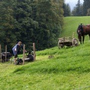 Skradzione dzieciństwo - galeria zdjęć - filmweb