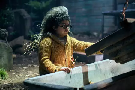 Łasuch - galeria zdjęć - filmweb