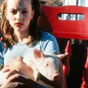 Braciszek świnka - galeria zdjęć - filmweb